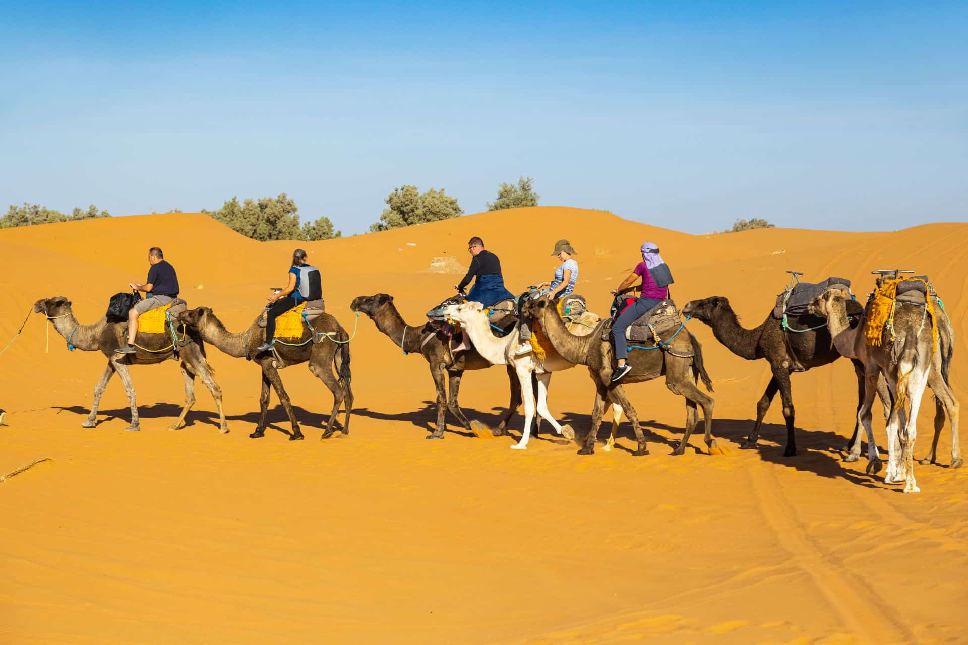 10 Days Private Desert and Cultural Tour from Casablanca