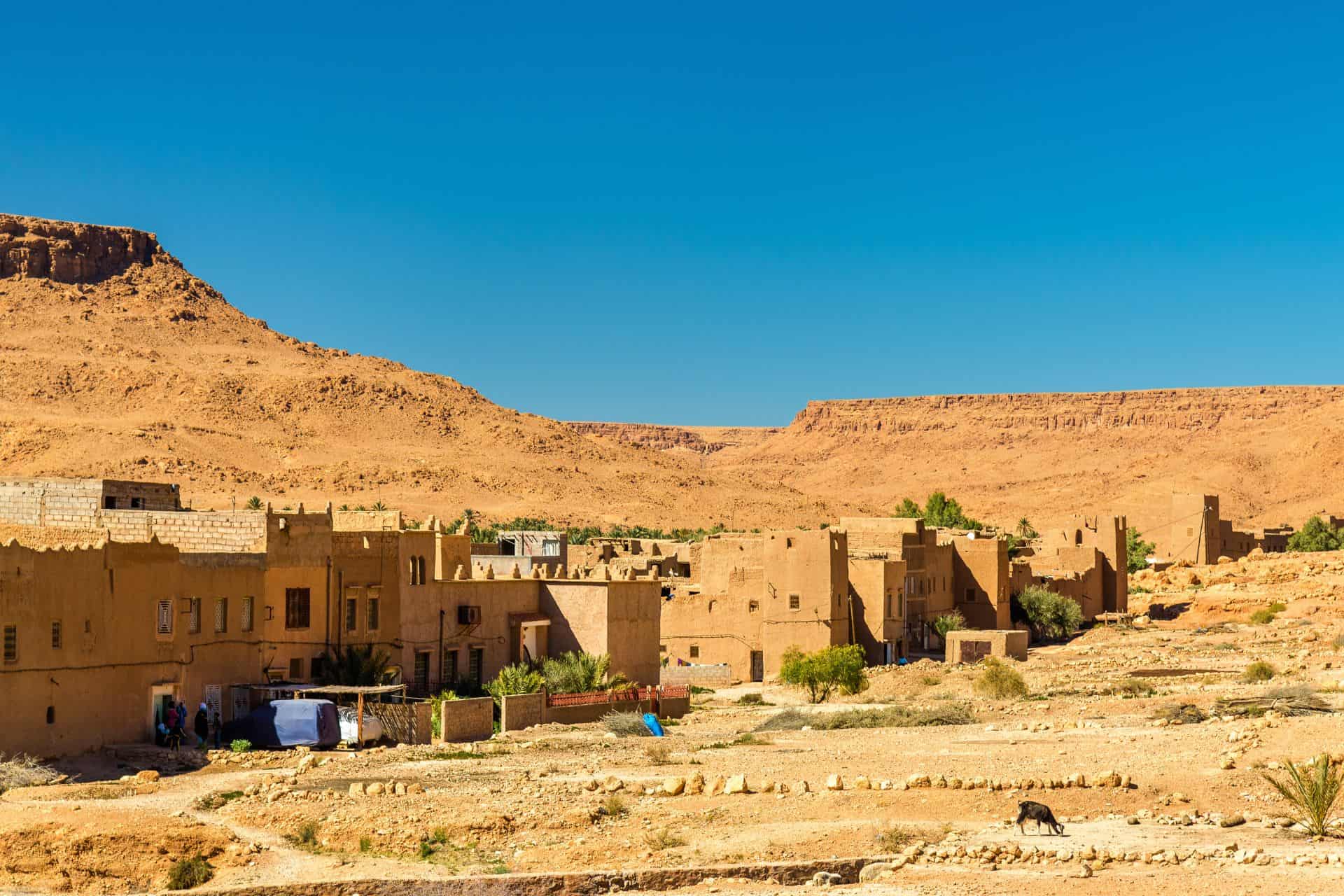 8 Days Private Desert and Costal Tour from Fes to Casablanca