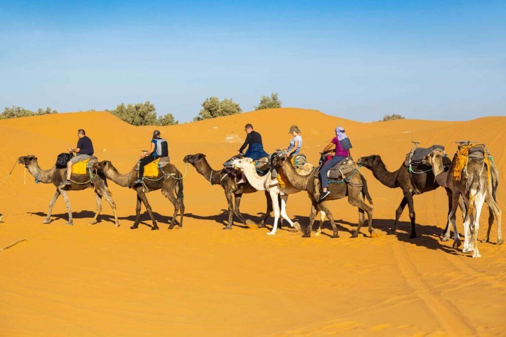 10 Days Private Morocco Grand Desert Tour from Fes to Tangier