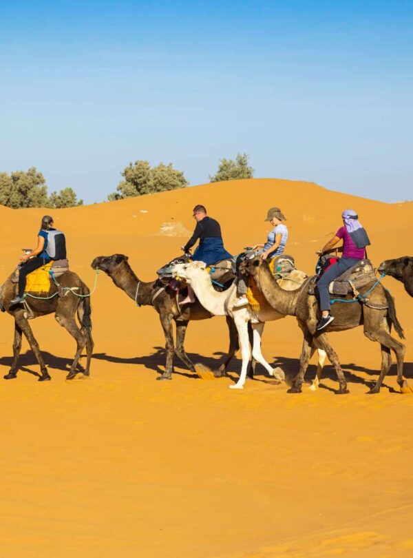 10 Days Private Morocco Grand Desert Tour from Fes to Tangier