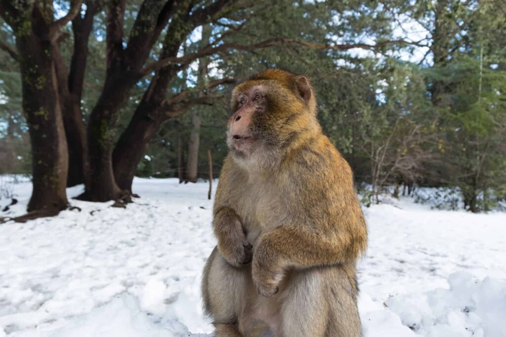 10 Days Private Morocco Grand Desert Tour from Fes to Tangier