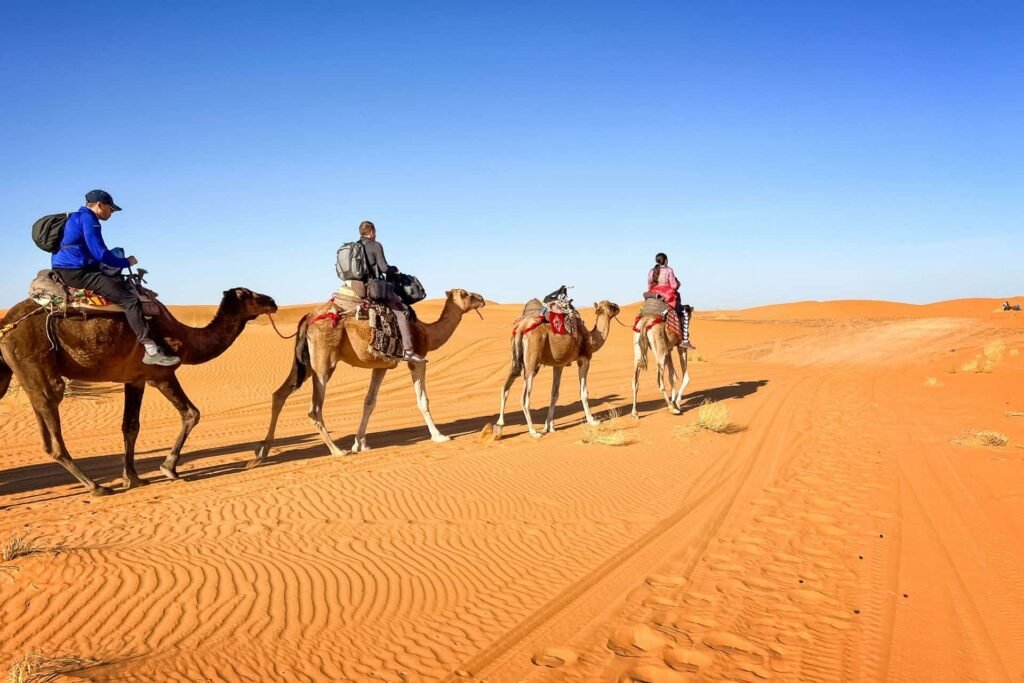 8 Days Private Desert and Costal Tour from Fes to Casablanca