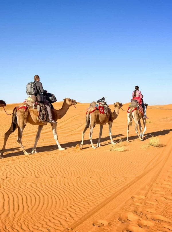 8 Days Private Desert and Costal Tour from Fes to Casablanca